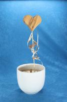 Blumentopf Stecker - Herz Fichte– handgefertigte Holzdekoration aus Holz